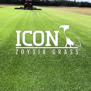 Icon Zoysia - Small Truckload - (10 pallets) 400 ft² pallet